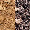 Topsoil/Compost