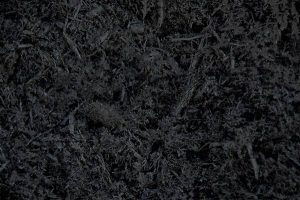 Mulch - Black Dyed